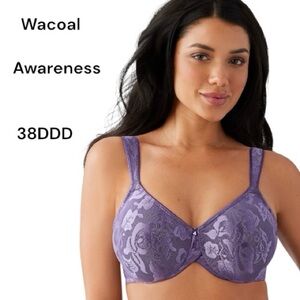 Wacoal Purple Lace Full Coverage 38 DDD Underwire Bra Awareness Grape Compote